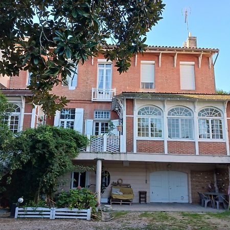 مونْتوبا Vanille Bourbon المظهر الخارجي الصورة